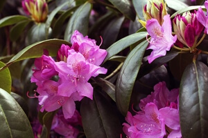 My Thoughts: On Pregnancy, Anxiety & How To De-Stress in Under Five Minutes