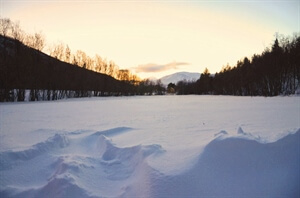 A Poem: Snowshoeing Through Life