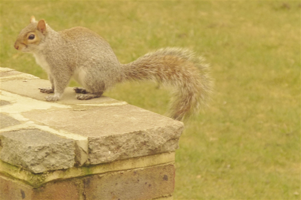 One photo a day: April 2013