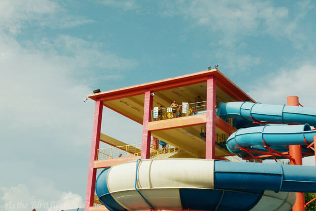 Jump on in, the water's fine for swimming...