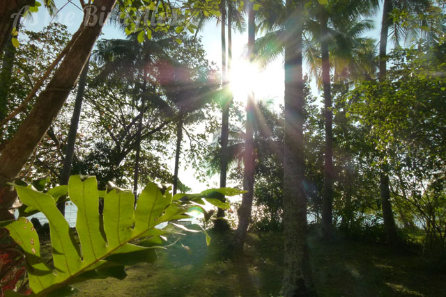 In photos: Sunrise on Koh Yao Noi