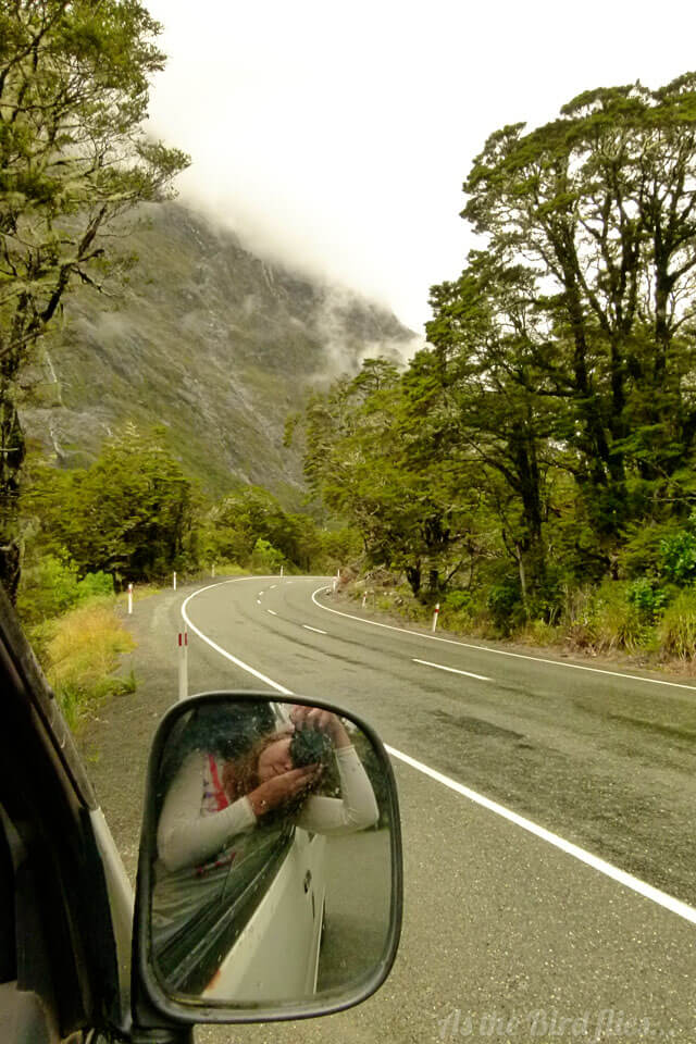 in photos: 50 Shades of green in New Zealand