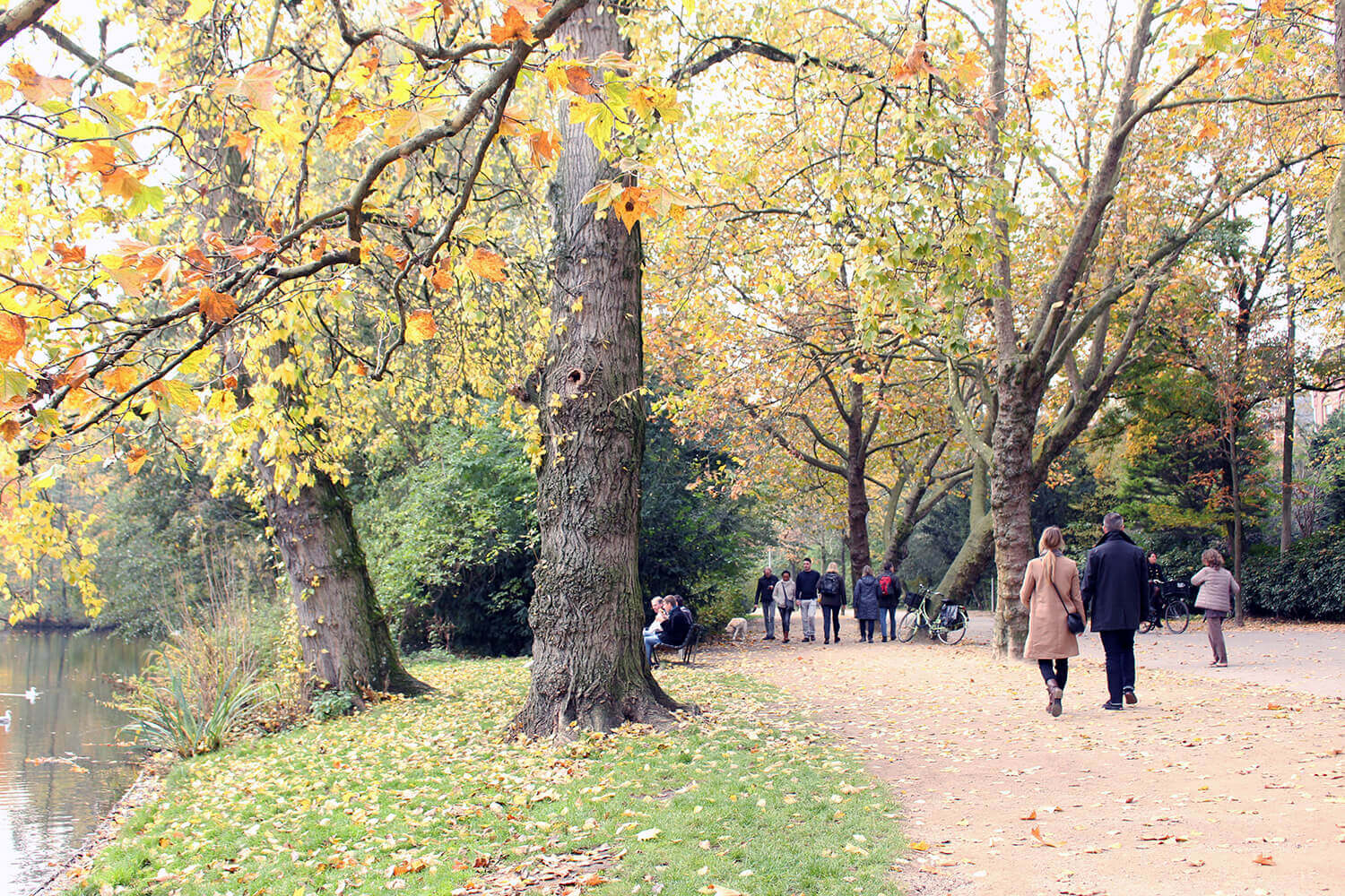 Amsterdam Travel: The Best Parks in Amsterdam
