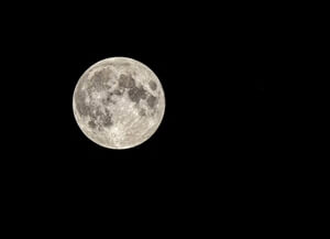 The Moon Also Rises: Read a Free Extract