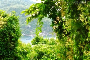 Travel Stories: Mountain Biking on Koh Racha