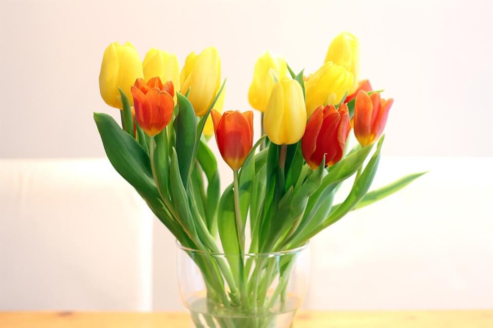 Moments of Happiness in January 2015