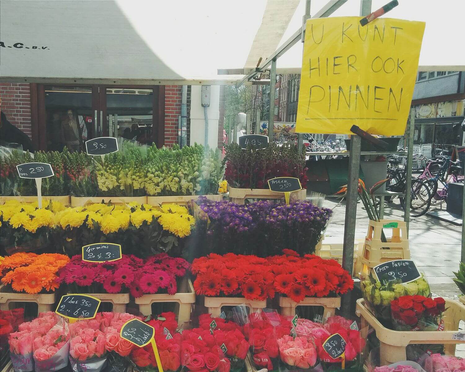 Life in Amsterdam: Dutch Words That Sound Rude But Aren't