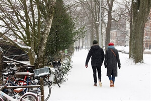Amsterdam Photography: Amsterdam in the Snow﻿