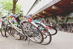 My Thoughts: Listen to Yourself