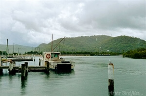 And I heard an old song down on Fisherman's Wharf...
