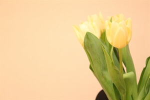 My Thoughts: Celebrate You This Valentine's Day