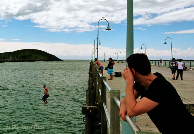 photo Coffs Harbour Jetty Jumping jetty jumping in coffs harbour