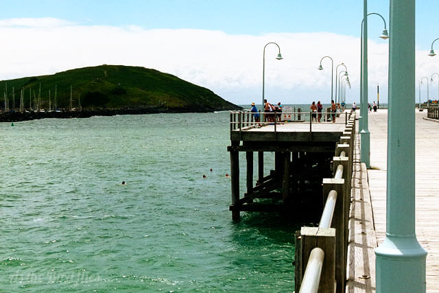 wallpapers Coffs Harbour Jetty Jumping jetty jumping in coffs harbour