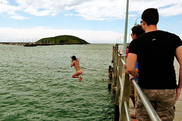 pic Coffs Harbour Jetty Jumping jetty jumping in coffs harbour