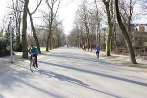 In photos: A Winter Bike Ride in Vondelpark