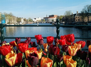 Amsterdam Travel: Things to do in Amsterdam in Spring