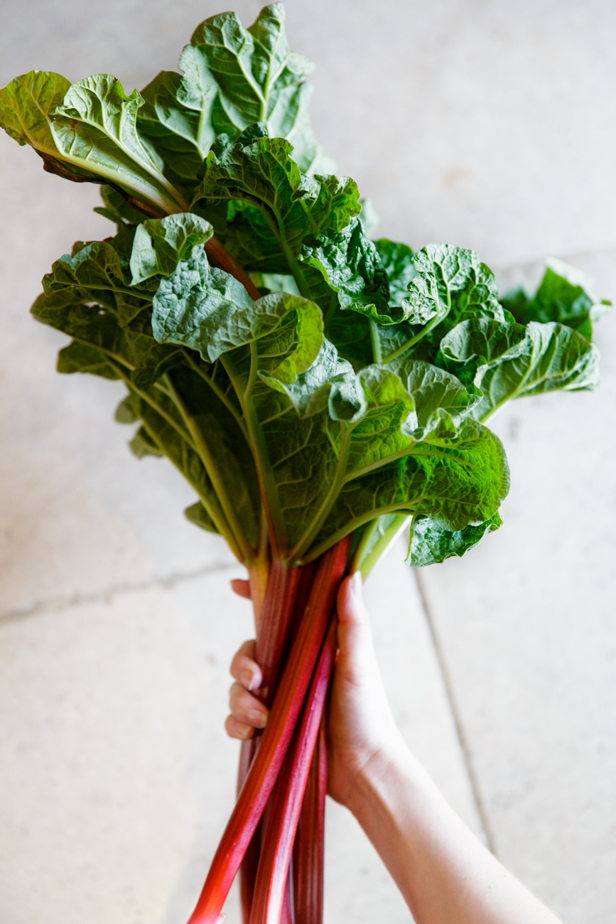 Rhubarb Rhubarb