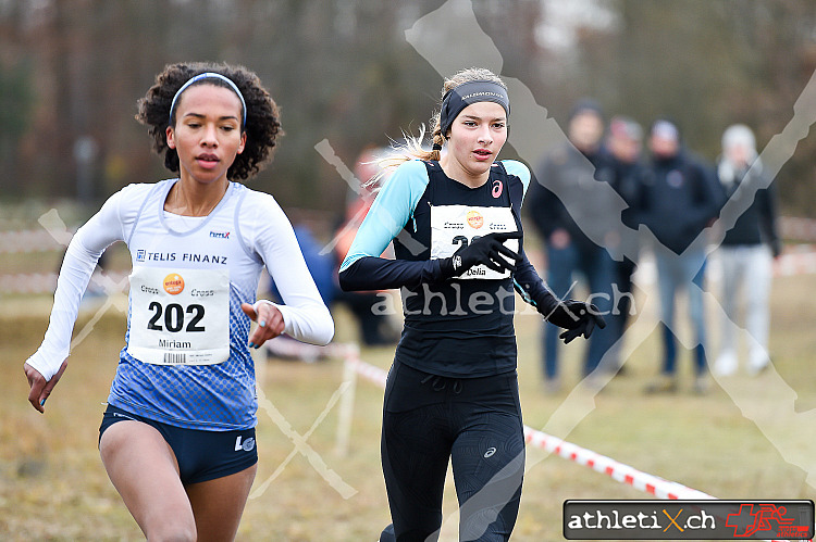 Int. ASC-Cross, Darmstadt (25.11.2017)
