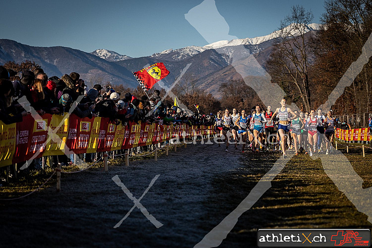 European Cross Country Championships, Torino (11.12.2022)