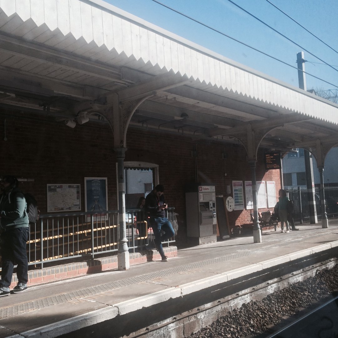 image.jpeg image.jpeg