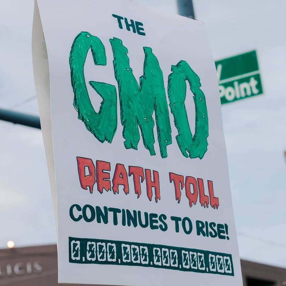 GMO.jpg