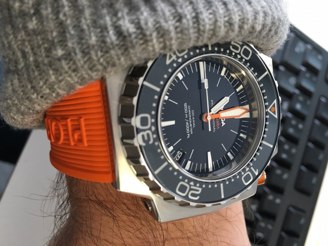 Annonse Ploprof 3.jpg