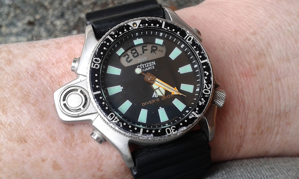 Citizen diver.jpg