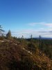 20170910_084047.jpg