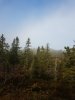 20170910_082716.jpg