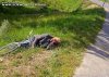popielniczka~15.jpg