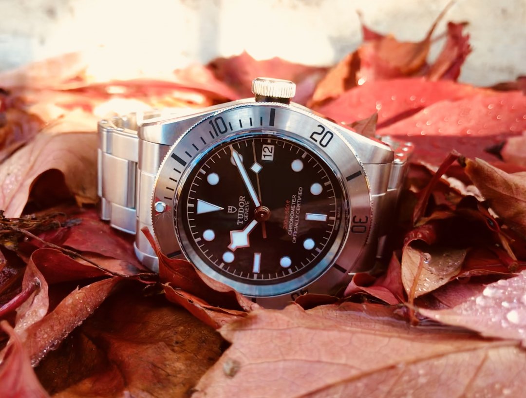 8487F22D-BE33-429C-9A26-8AED8BA77FCE.jpeg