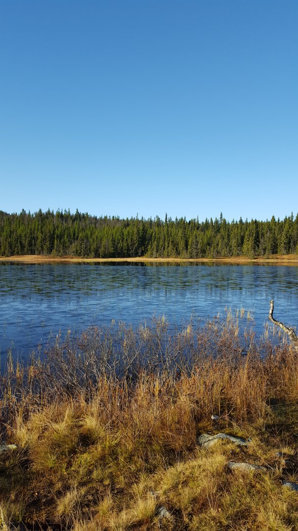 20171014_104703.jpg