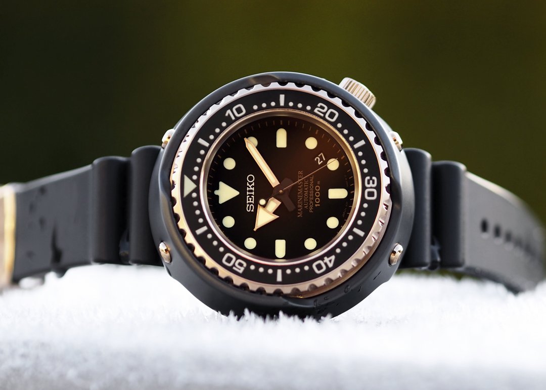 _B270009.jpg