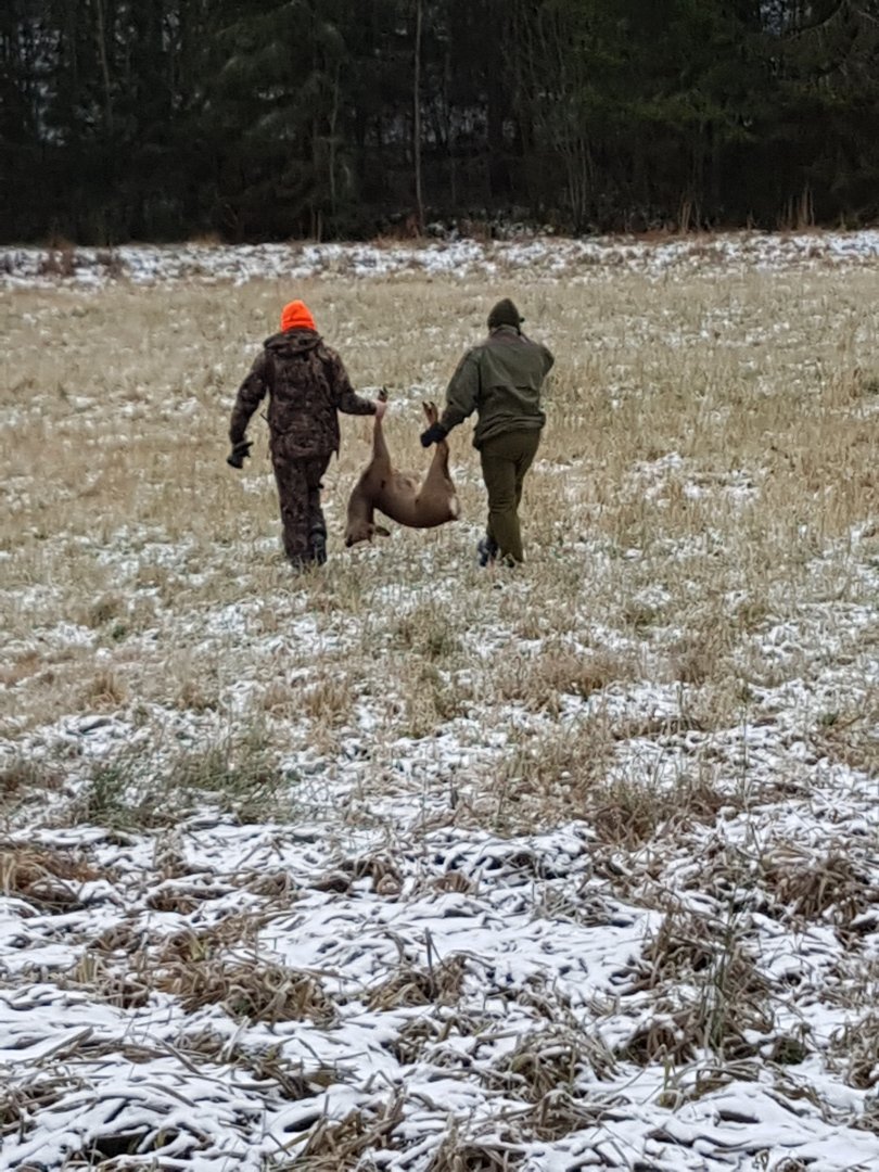 20171202_101437.jpg