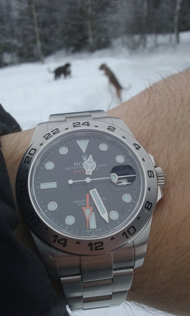 20180219_122716.jpg