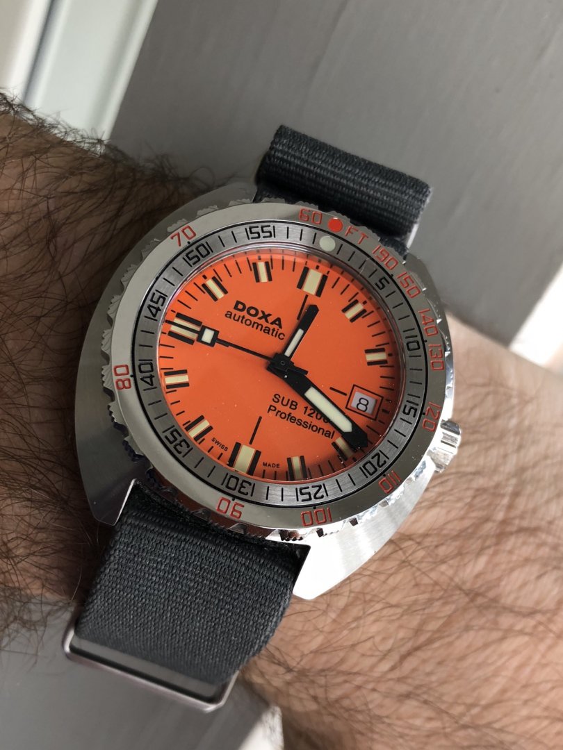 3B003C8B-BE87-4DE7-B59F-E8375708C9F8.jpeg 3B003C8B-BE87-4DE7-B59F-E8375708C9F8.jpeg