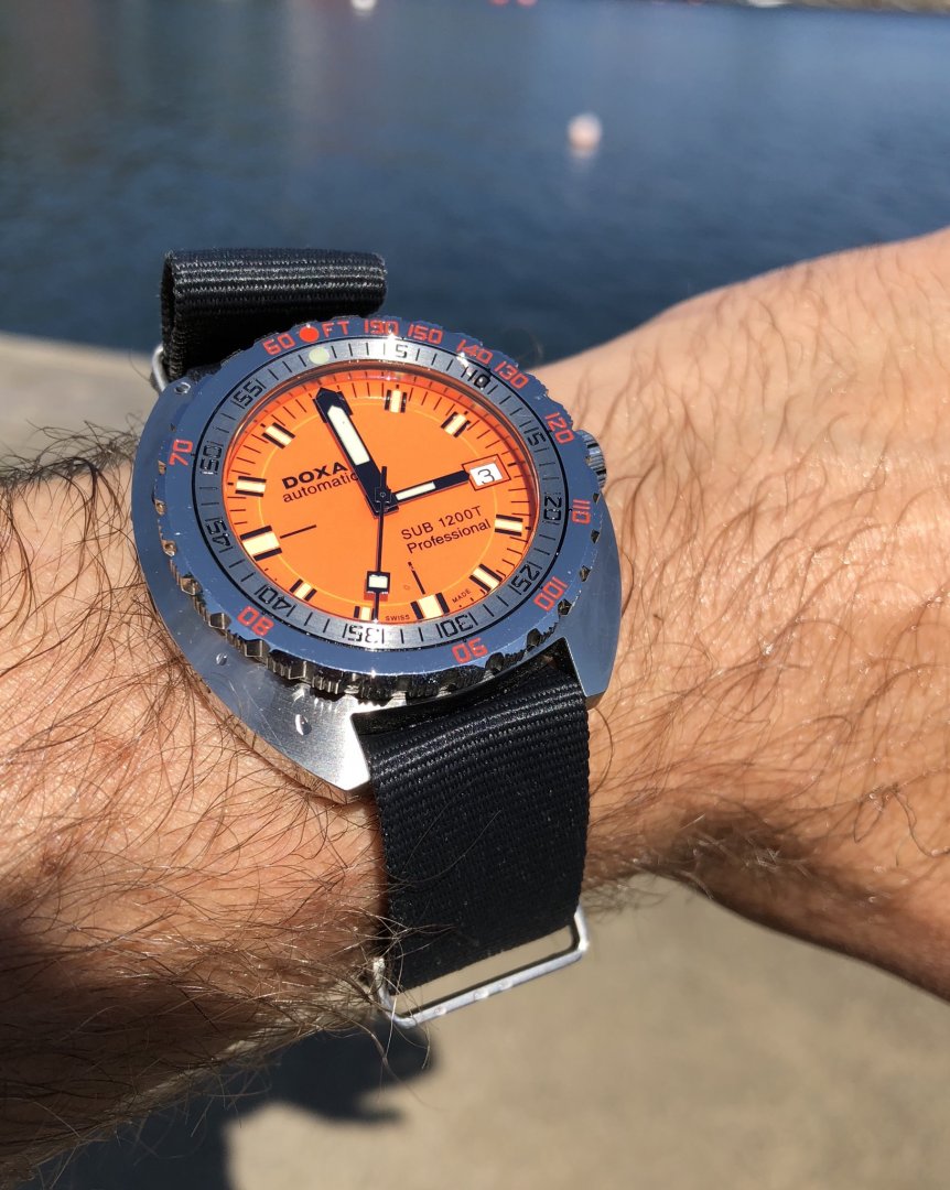 4CAE8FB0-E838-4AD4-A668-A2B5732973C1.jpeg 4CAE8FB0-E838-4AD4-A668-A2B5732973C1.jpeg