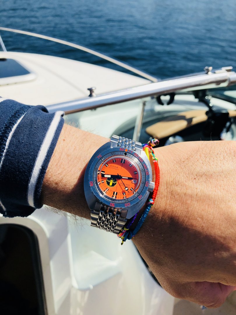 8E74A0F0-14BB-486C-8646-A883D6D459FE.jpeg 8E74A0F0-14BB-486C-8646-A883D6D459FE.jpeg