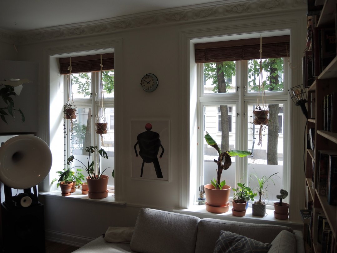 DSCN6516.jpg DSCN6516.jpg