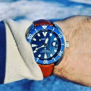 IMG_20180204_131300_621.jpg