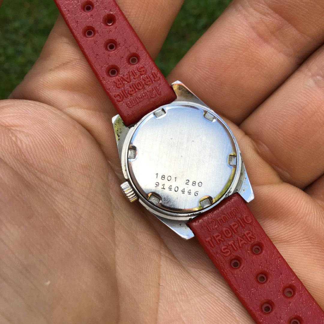 54A88C41-1F43-44F9-91C9-CE16E0B05AC0.jpeg 54A88C41-1F43-44F9-91C9-CE16E0B05AC0.jpeg