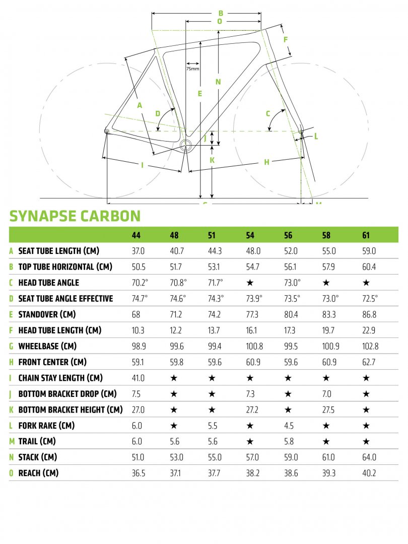 MY18_GEOS_SYNAPSE_CARBON.jpg MY18_GEOS_SYNAPSE_CARBON.jpg