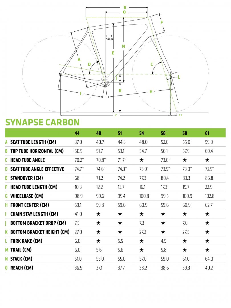 MY18_GEOS_SYNAPSE_CARBON.jpg