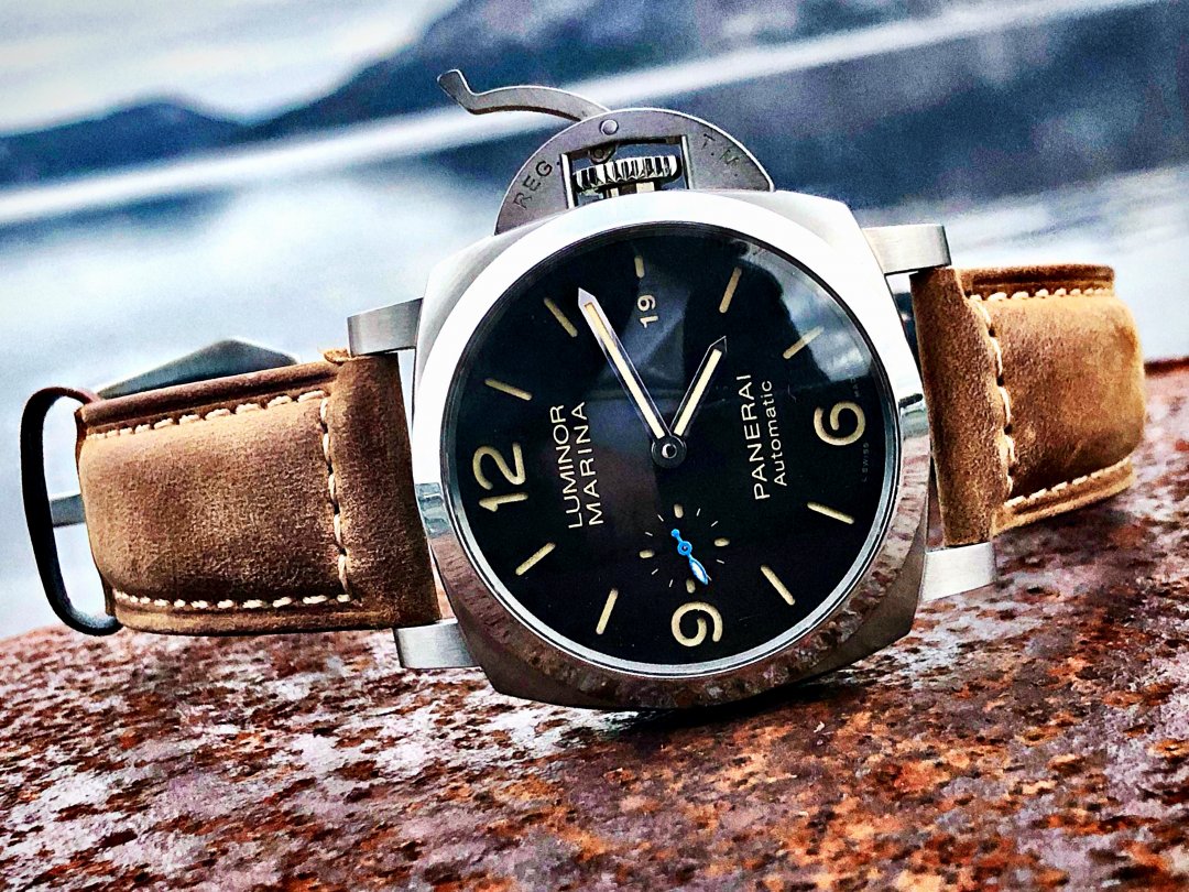 Pam3.jpg Pam3.jpg