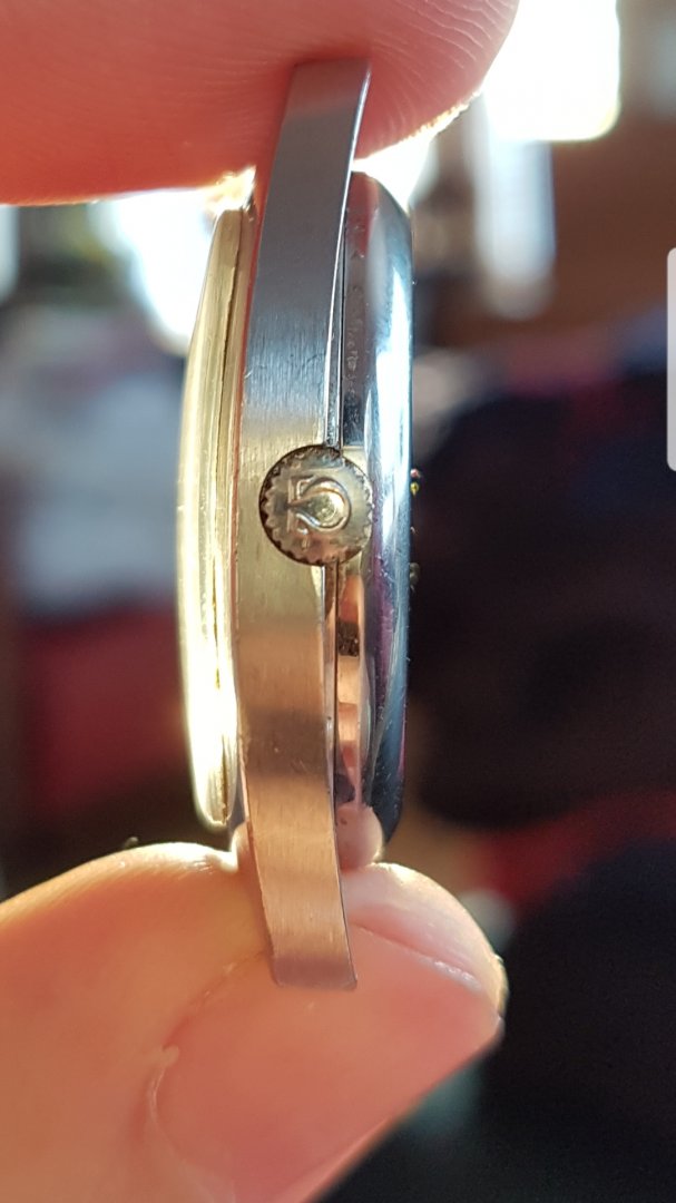 Screenshot_20190116-182730_Gallery.jpg Screenshot_20190116-182730_Gallery.jpg