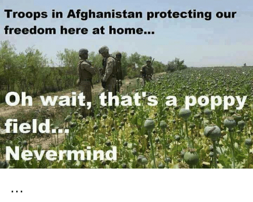 troops-in-afghanistan-protecting-our-freedom-here-at-home-oh-18003721.png