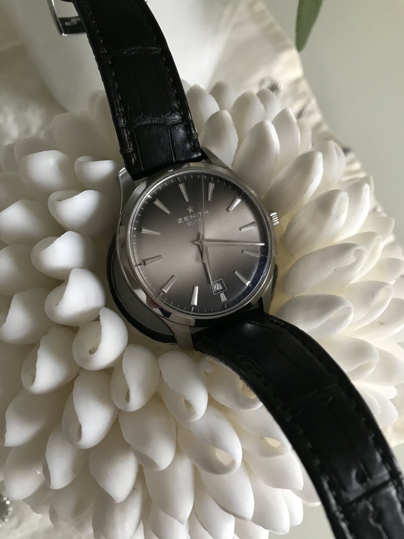 918C326B-5C75-4170-B73E-591F77AEEC90.jpeg 918C326B-5C75-4170-B73E-591F77AEEC90.jpeg