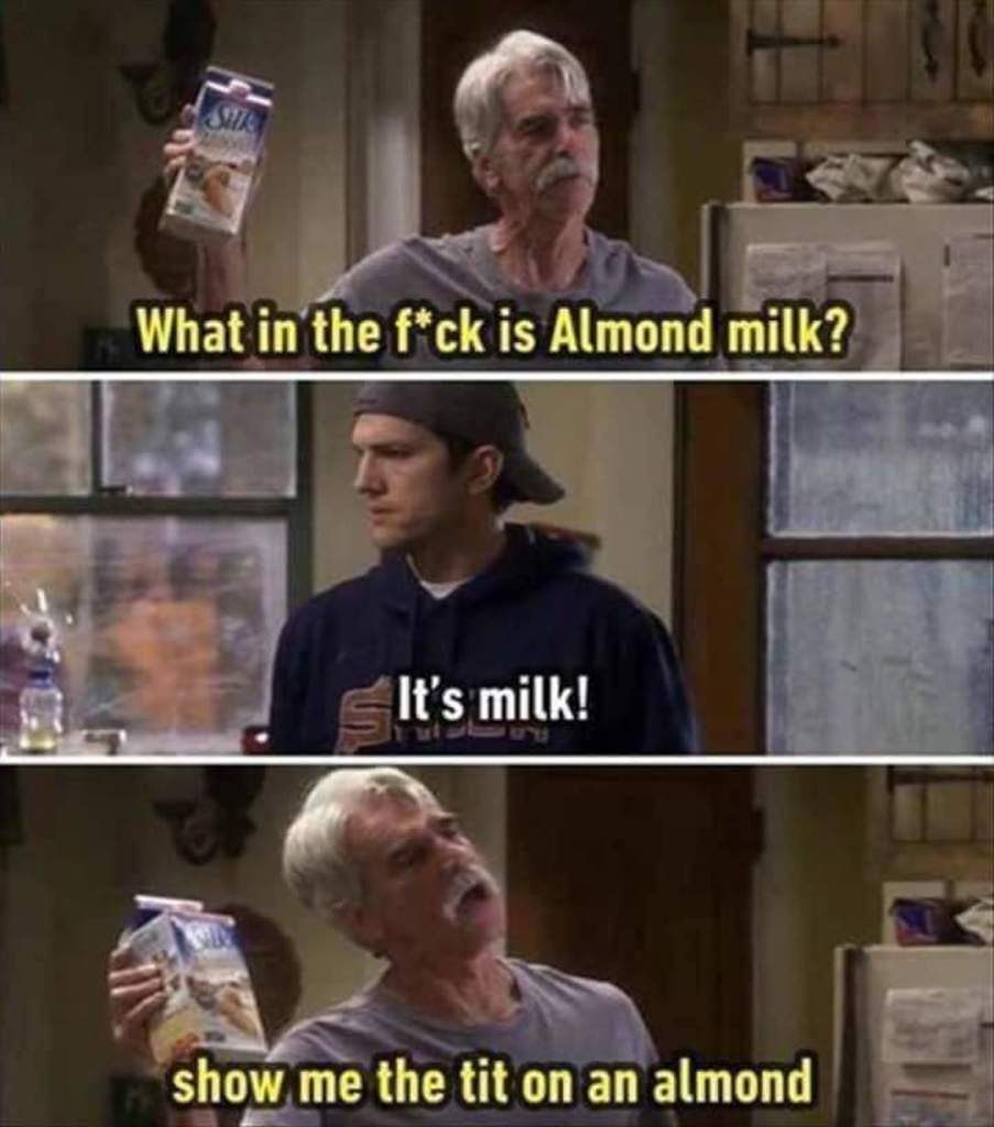 milk.jpg