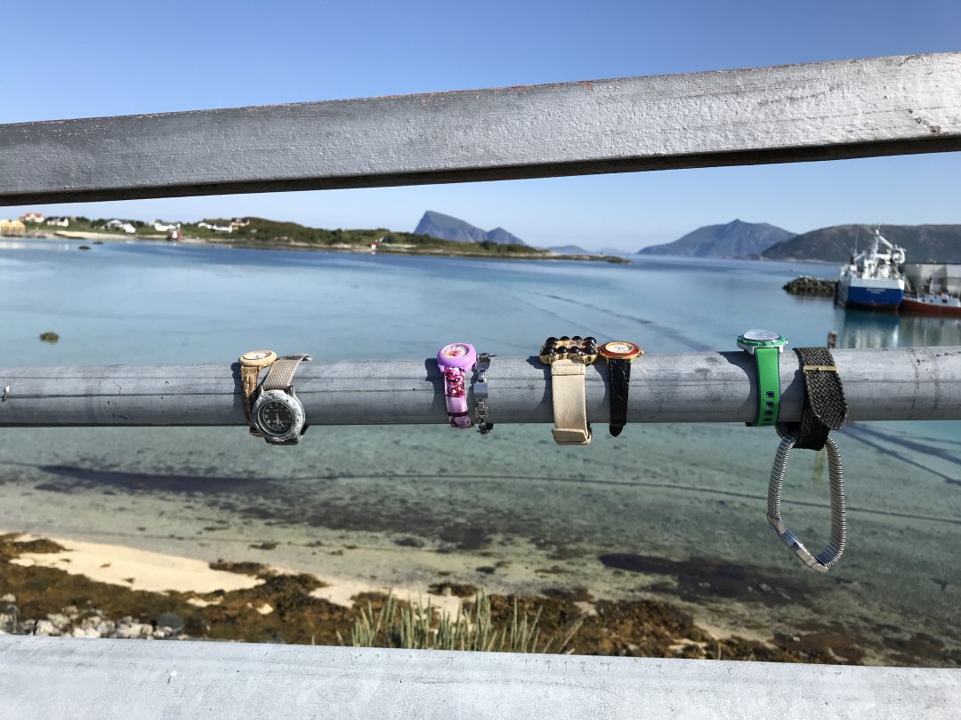 A9E49E9B-064A-41B3-A761-CD67F7680443.jpeg A9E49E9B-064A-41B3-A761-CD67F7680443.jpeg