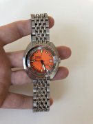 IMG_5057.JPG IMG_5057.JPG